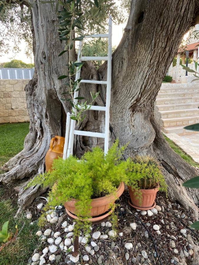 Trulli Del Relax Villa Castellana Grotte Bagian luar foto
